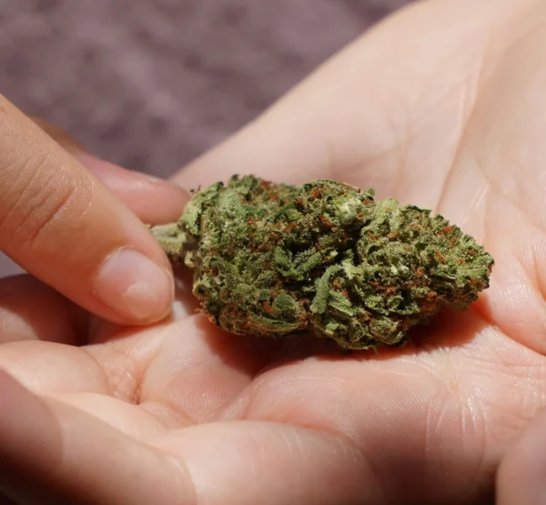 Produktbild wird erwartet