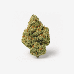 Huala 22/1 CA Alien Mints