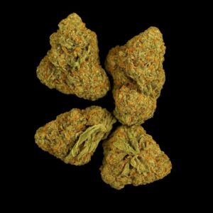 Huala 25/1 UK Cinderella Kush