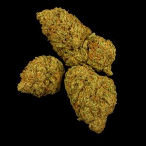 Huala 22/1 CA BTR Black Triangle