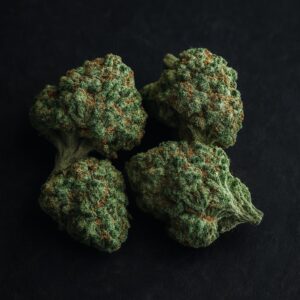 TRUU GT 25/1 BMP Crumbled Lime