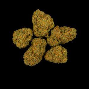 TYSON 2.0 24/1 Exodus