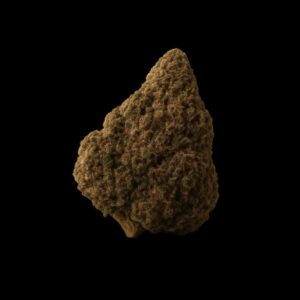 Sibanax MCF 23/1 Mac Fem