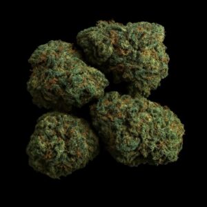 Wellford Aquaponic 26/1 ATG Atlantic Glue