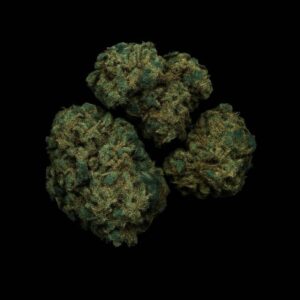 Wellford Aquaponic 24/1 SDK Sensi Double Kush