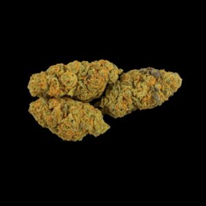 Wellford Aquaponic 26/1 QSG