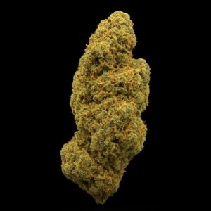 MCCN No. 1 14/1 Purple Mountain